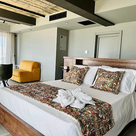 Appartement Salini