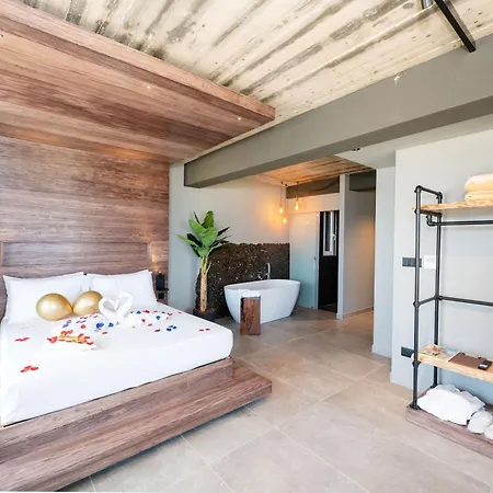 Apartment Salini *